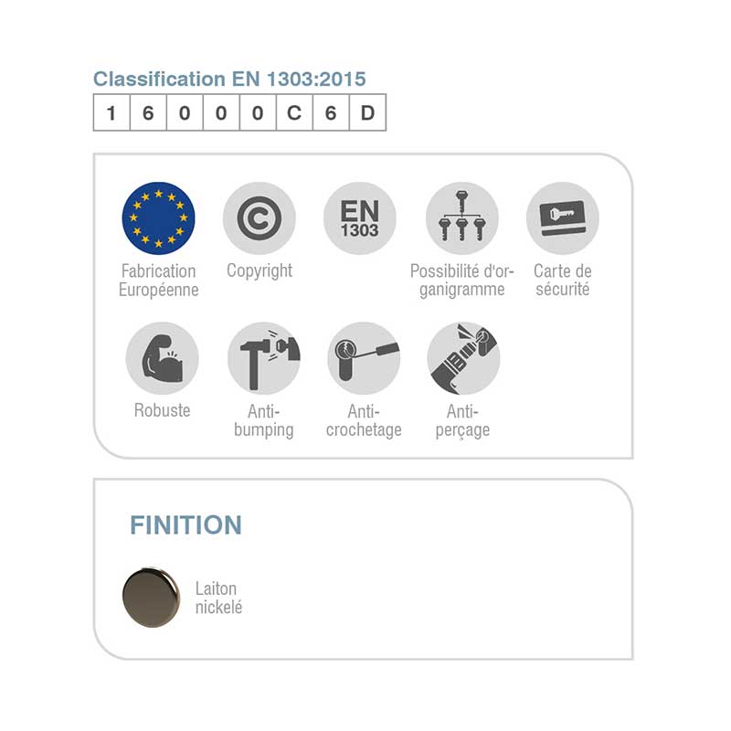 cylindre-sur-organigramme-orga6C-picto